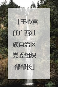 王心富任广西壮族自治区党委组织部部长
