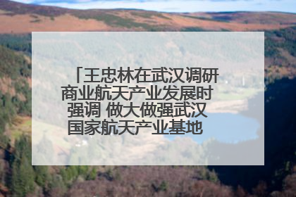 王忠林在武汉调研商业航天产业发展时强调 做大做强武汉国家航天产业基地 打造具有全国影响力的“中国星谷”