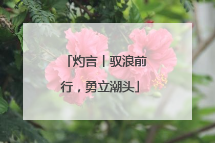 灼言丨驭浪前行，勇立潮头