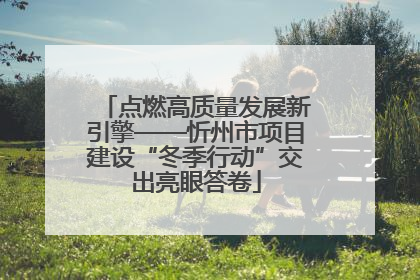 点燃高质量发展新引擎——忻州市项目建设“冬季行动”交出亮眼答卷