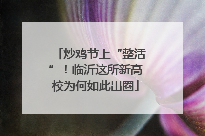 炒鸡节上“整活”！临沂这所新高校为何如此出圈
