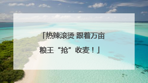 热辣滚烫 跟着万亩粮王“抢”收麦！
