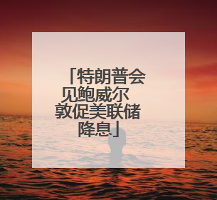 特朗普会见鲍威尔 敦促美联储降息