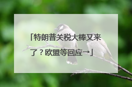 特朗普关税大棒又来了？欧盟等回应→