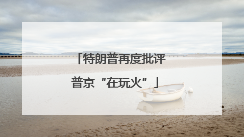 特朗普再度批评普京“在玩火”