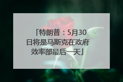 特朗普：5月30日将是马斯克在政府效率部最后一天