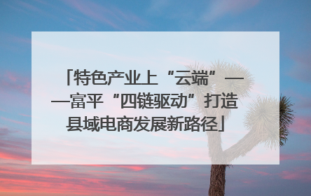 特色产业上“云端”——富平“四链驱动”打造县域电商发展新路径