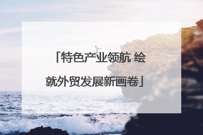 特色产业领航 绘就外贸发展新画卷