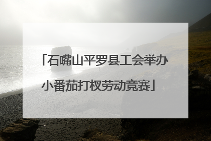 石嘴山平罗县工会举办小番茄打杈劳动竞赛