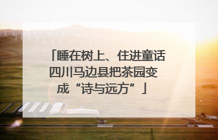 睡在树上、住进童话 四川马边县把茶园变成“诗与远方”