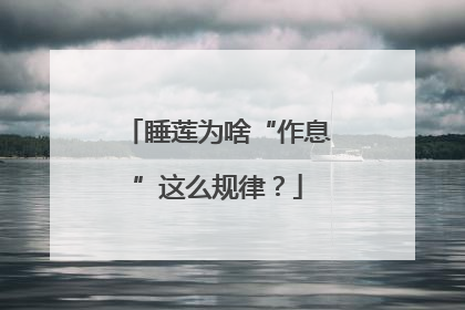 睡莲为啥“作息”这么规律？