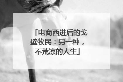 电商西进后的戈壁牧民：另一种，不荒凉的人生