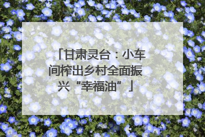 甘肃灵台：小车间榨出乡村全面振兴“幸福油”