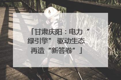 甘肃庆阳：电力“绿引擎” 驱动生态再造“新答卷”