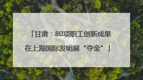 甘肃：80项职工创新成果在上海国际发明展“夺金”