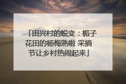 田兴村的蜕变：栀子花田的杨梅熟啦 采摘节让乡村热闹起来