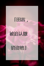 田蓉，被追认撤销资格