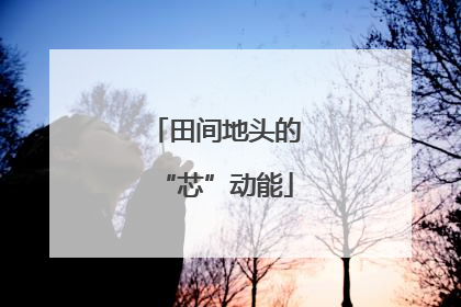 田间地头的“芯”动能