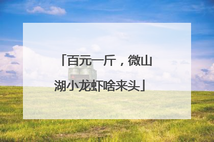 百元一斤，微山湖小龙虾啥来头