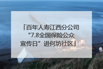 百年人寿江西分公司“7.8全国保险公众宣传日”进何坊社区