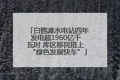 白鹤滩水电站四年发电超1960亿千瓦时 库区移民搭上“绿色发展快车”