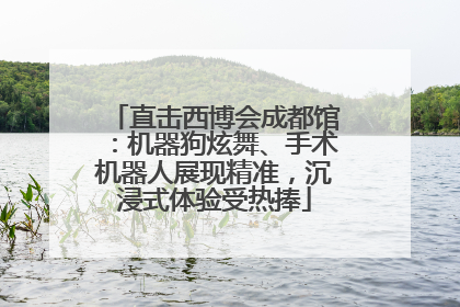 直击西博会成都馆：机器狗炫舞、手术机器人展现精准，沉浸式体验受热捧
