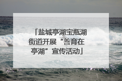 盐城亭湖宝瓶湖街道开展“善育在亭湖”宣传活动