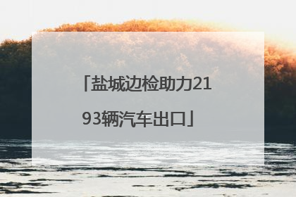 盐城边检助力2193辆汽车出口