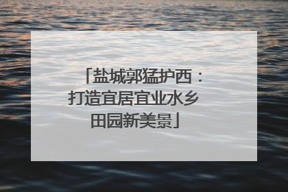 盐城郭猛护西：打造宜居宜业水乡田园新美景