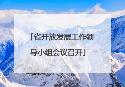 省开放发展工作领导小组会议召开
