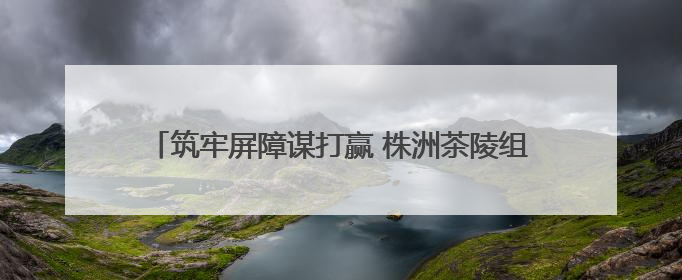筑牢屏障谋打赢 株洲茶陵组织民兵展开抗洪抢险实战实训