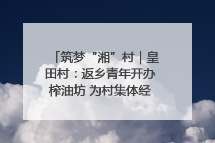 筑梦“湘”村｜皇田村：返乡青年开办榨油坊 为村集体经济“加油”