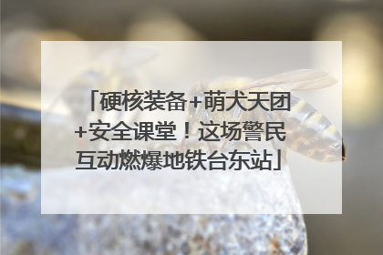 硬核装备+萌犬天团+安全课堂！这场警民互动燃爆地铁台东站