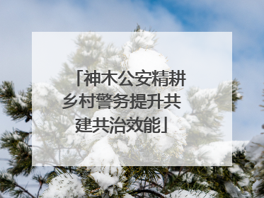 神木公安精耕乡村警务提升共建共治效能
