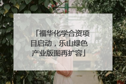 福华化学合资项目启动，乐山绿色产业版图再扩容