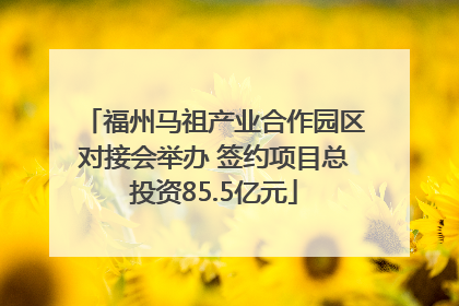 福州马祖产业合作园区对接会举办 签约项目总投资85.5亿元
