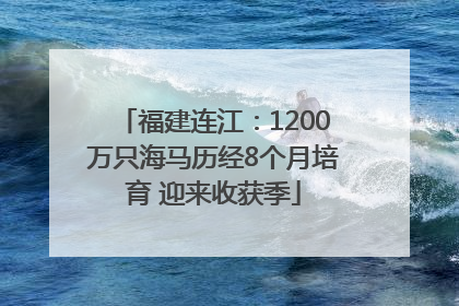 福建连江：1200万只海马历经8个月培育 迎来收获季
