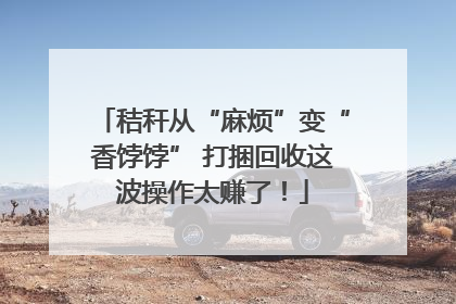 秸秆从“麻烦”变“香饽饽” 打捆回收这波操作太赚了！