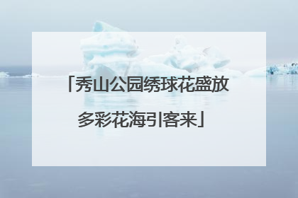 秀山公园绣球花盛放 多彩花海引客来