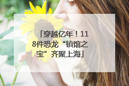 穿越亿年！118件恐龙“镇馆之宝”齐聚上海