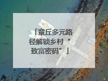 章丘多元路径解锁乡村“致富密码”