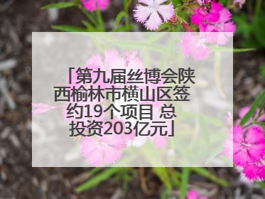 第九届丝博会陕西榆林市横山区签约19个项目 总投资203亿元