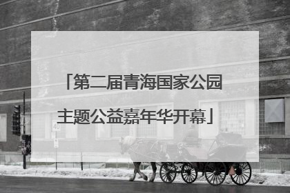 第二届青海国家公园主题公益嘉年华开幕