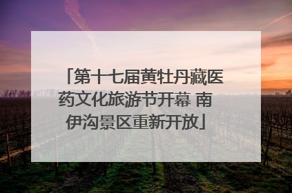 第十七届黄牡丹藏医药文化旅游节开幕 南伊沟景区重新开放