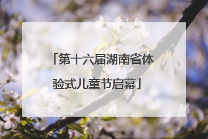 第十六届湖南省体验式儿童节启幕