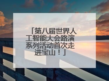 第八届世界人工智能大会路演系列活动首次走进宝山！