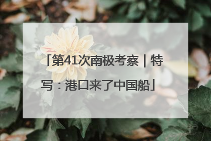 第41次南极考察｜特写：港口来了中国船