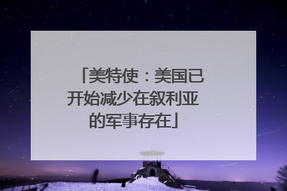 美特使：美国已开始减少在叙利亚的军事存在
