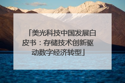 美光科技中国发展白皮书：存储技术创新驱动数字经济转型