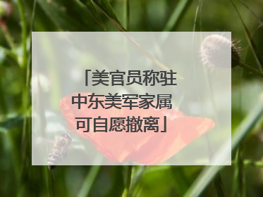 美官员称驻中东美军家属可自愿撤离